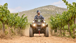 YAMAHA Kodiak 450 EPS - A PARTIR DE 186€/MOIS